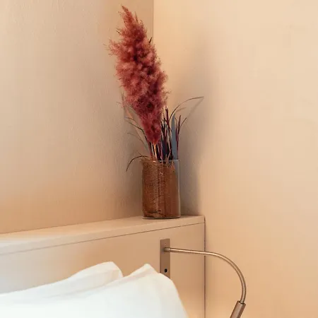 Velvet Grey Boutique 3*